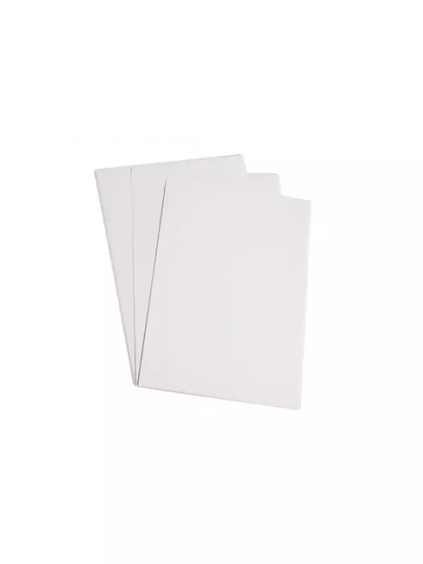 Cartulina Lisa Carta - Blanca