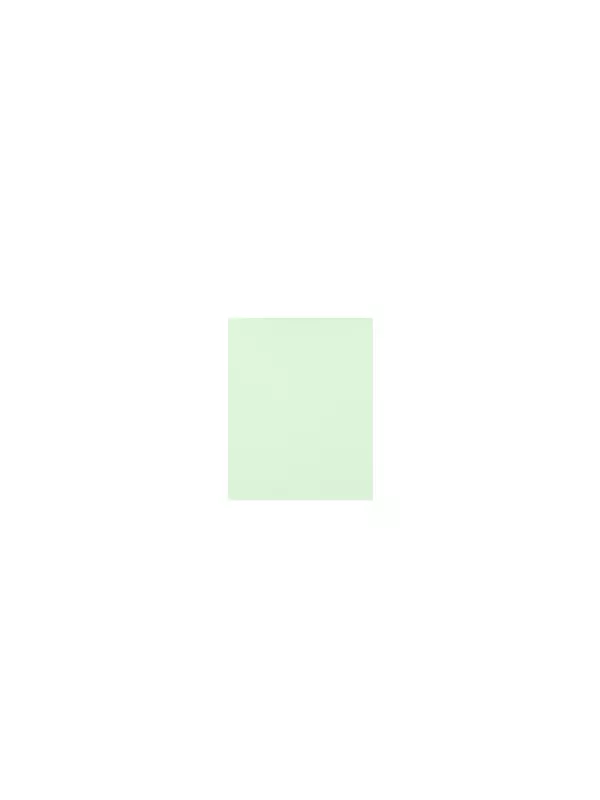 Goma Eva 40 X 50 Verde Hoja