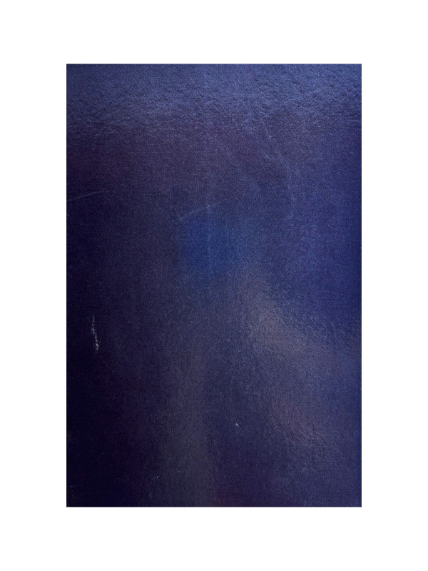 Libro De Actas 400 Hojas