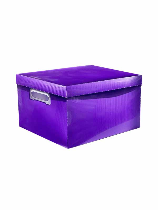 Caja Polibras Mediana Colors Lila ref:1875