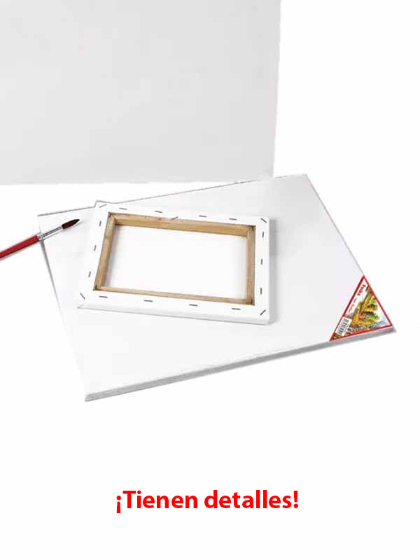 Oferta Lienzo 50x60 ref1005